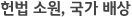 헌법 소원, 국가 배상